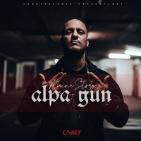 Alpa Gun - Meine Story (100 Bars) (Explicit)