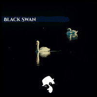 Kondo - Black Swan