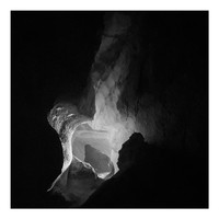 Dropout Marsh - Contrastes