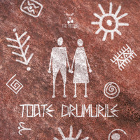 The Motans - Toate Drumurile