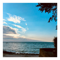 Dropout Marsh - Retineat et Salvet