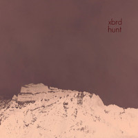Exbird - Hunt