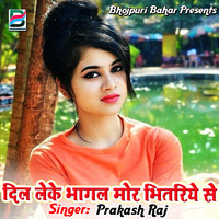 Prakash Raj - Dil Leke Bhagal Mor Bhitariye Se
