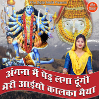 Sheela - Angna Mein Ped Laga Dungi Meri Aaiyo Kalka Maiya