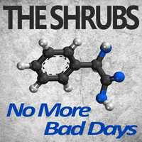 The Shrubs - No More Bad Days