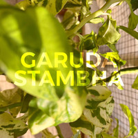 Garuda - Stambha