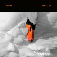 Jim Allen - Swan