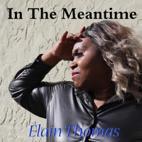 Elain Thomas - In the Meantime