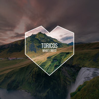 Toricos - What I Need