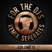Backtracks Band - For The DJs, Vol. 11