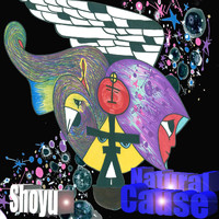 Shoyu - Natural Cause