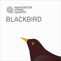 Manchester String Quartet - Blackbird