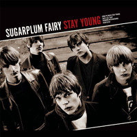 Sugarplum Fairy - Stay Young