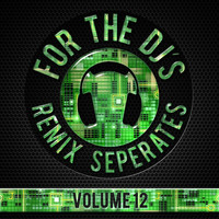 Backtracks Band - For The DJs, Vol. 12 (Explicit)