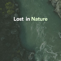 Nature Sounds - Lost in Nature