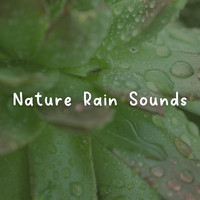 Nature Sounds - Nature Rain