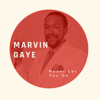 Marvin Gaye - Never Let You Go - Marvin Gaye