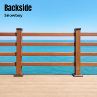 Snowboy - Backside