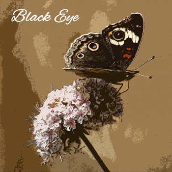 Bud Powell - Black Eye