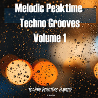 Techno Peaktime Hunter - Melodic Peaktime Techno Grooves Volume1
