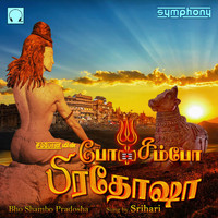 Srihari - Bho Shambo Pradosha