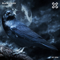 Black Raven - Falling Star (feat. Ninchan)
