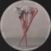 SKiRRA - Tortured Mind