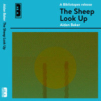 Aidan Baker - The Sheep Look Up