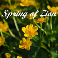 Soundboy - Spring of Zion