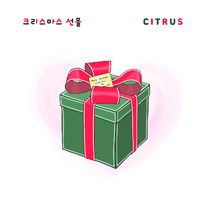 Citrus - Christmas present