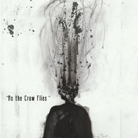 Aaron James - As the Crow Flies