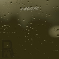Various Artists - Destiny