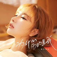 莫叫姐姐 - 为什么伤的是我