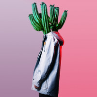PLÜM - Cactus Dream