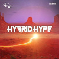 Giuseppe Calandrini - Hybrid Hype