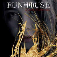 Funhouse - Dark and Stormy (Radio Edit)