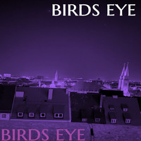 TK - Birds Eye
