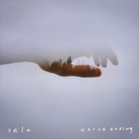 Sela - Nerve Ending