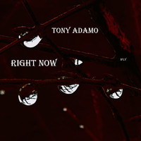 Tony Adamo - Right Now