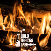 Wildtracks Lab - Fire Backgrounds
