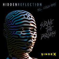 Hidden Reflection - Survive The Darkness