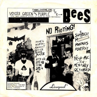 The Bees - Voices Green and Purple