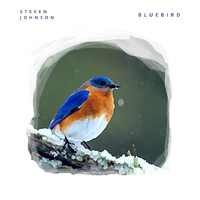 Steven Johnson - Bluebird (feat. Willie Davis)