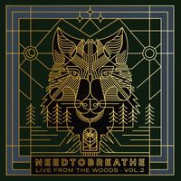 NEEDTOBREATHE - Live From the Woods Vol. 2 (Abridged)