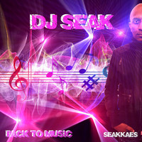 Dj Seak - Back to Music