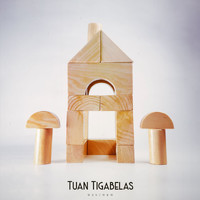 Tuantigabelas - Rumah