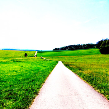 Various Artists - Plogging Electronic Music