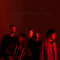 Darlyn - Because of You