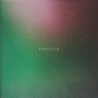 Hawks - Translucent