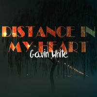 Gavin White - Distance in My Heart